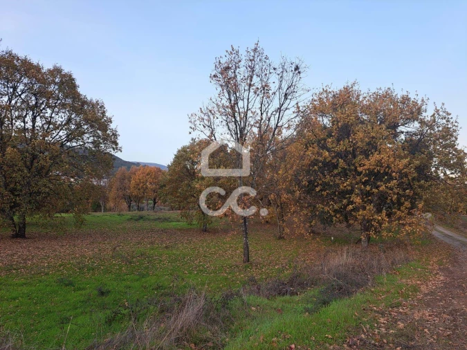 Terreno para Venda em Tortosendo Foto 2