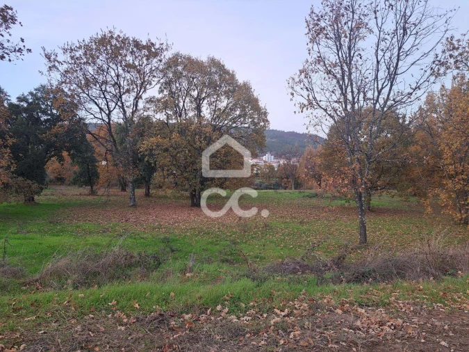 Terreno para Venda em Tortosendo Foto 7