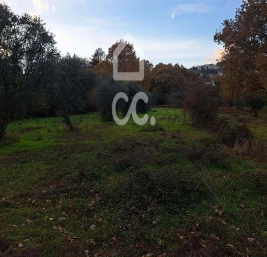 Terreno para Venda em Tortosendo Foto 5