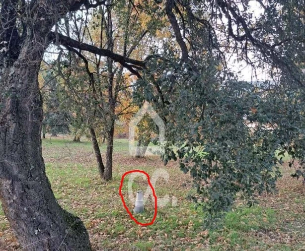 Terreno para Venda em Tortosendo Foto 3