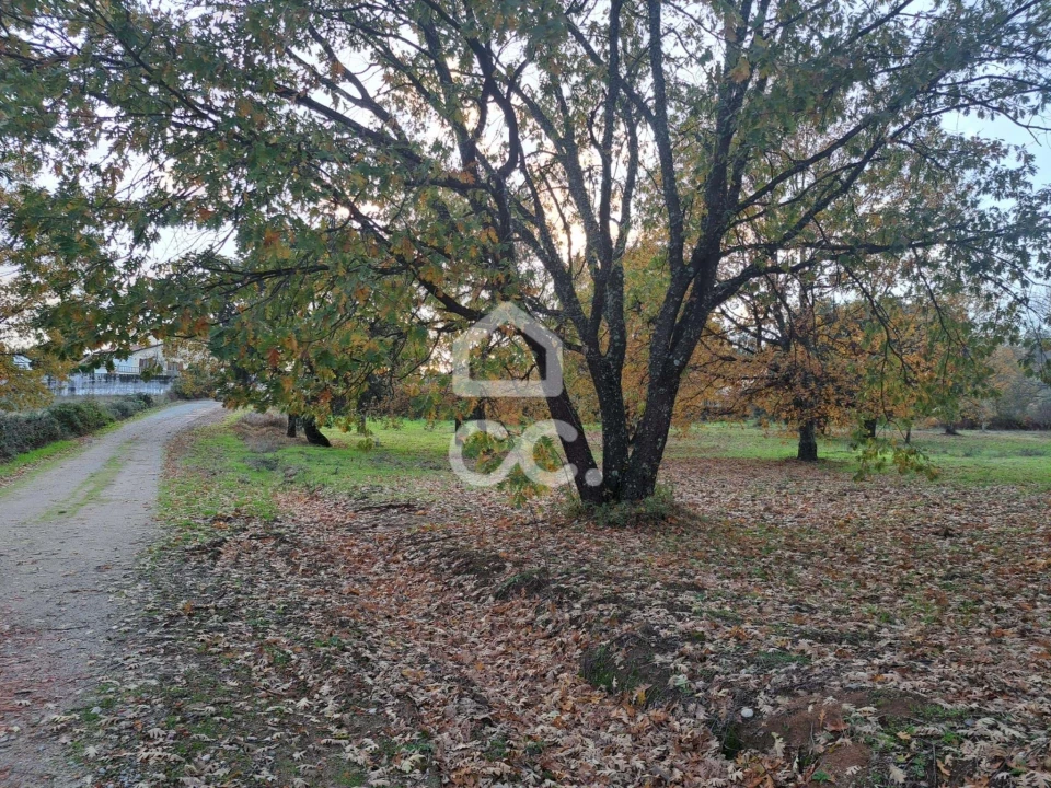 Terreno para Venda em Tortosendo Foto 4