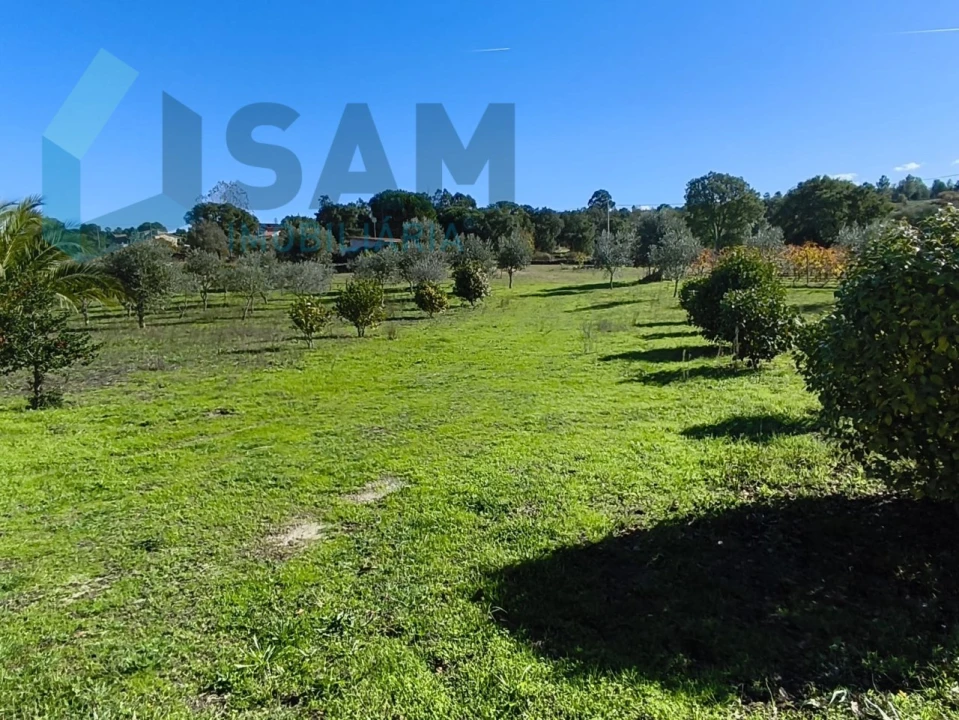 Quinta T1 para Venda em Juncais, Vila Ruiva e Vila Soeiro do Chão Foto 9