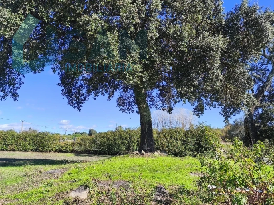 Quinta T1 para Venda em Juncais, Vila Ruiva e Vila Soeiro do Chão Foto 10