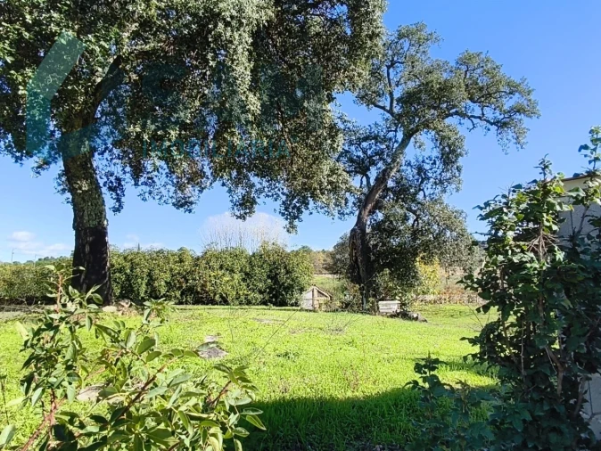 Quinta T1 para Venda em Juncais, Vila Ruiva e Vila Soeiro do Chão Foto 3