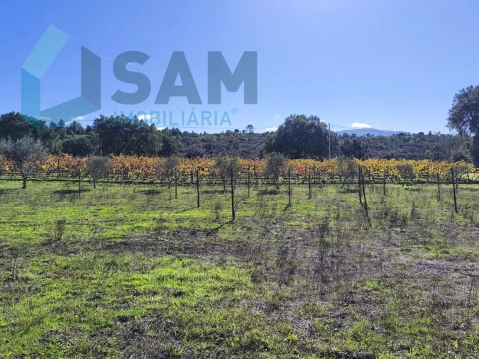 Quinta T1 para Venda em Juncais, Vila Ruiva e Vila Soeiro do Chão Foto 14