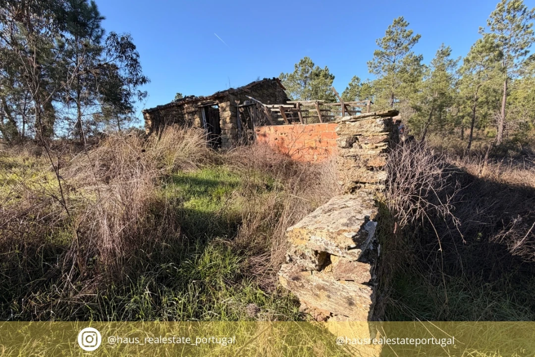 Quinta T0 para Venda em Sarzedas Foto 1