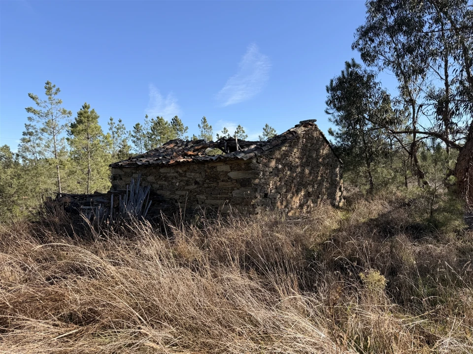 Quinta T0 para Venda em Sarzedas Foto 5