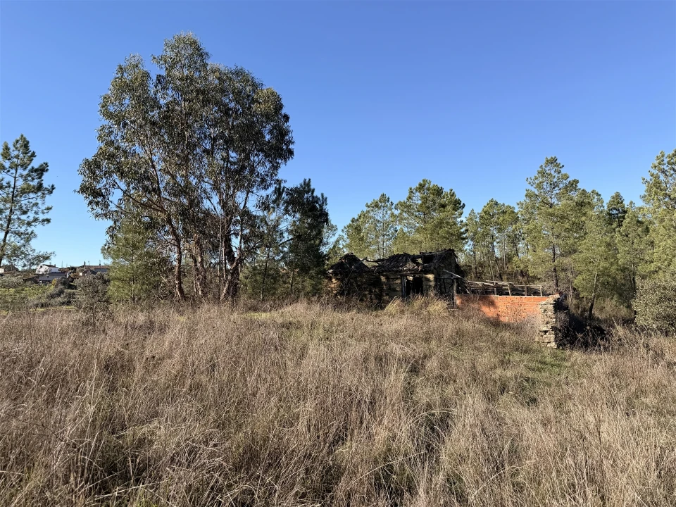 Quinta T0 para Venda em Sarzedas Foto 12
