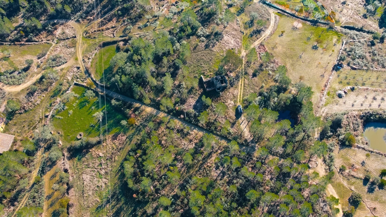 Quinta T0 para Venda em Sarzedas Foto 21