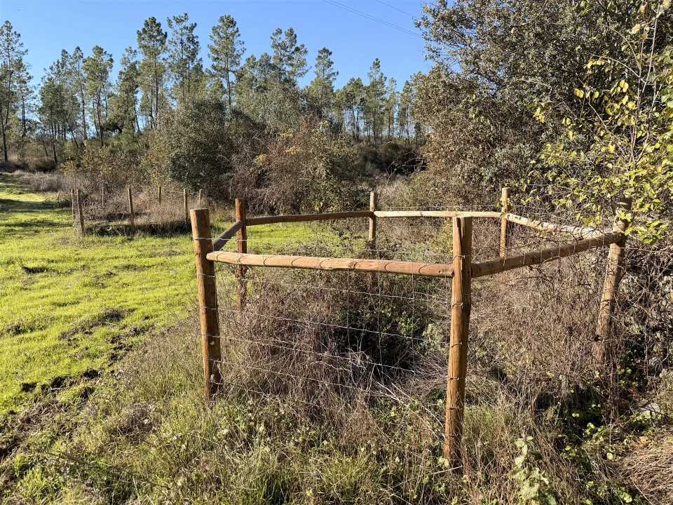 Quinta T0 para Venda em Sarzedas Foto 15