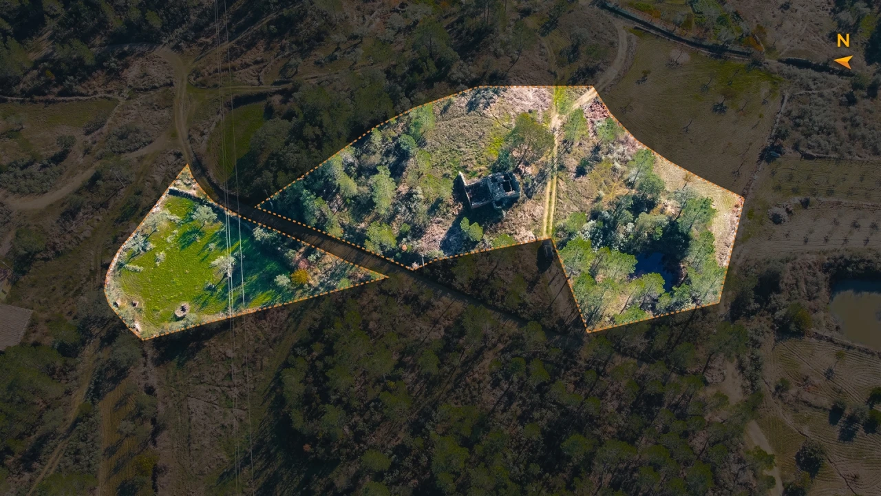 Quinta T0 para Venda em Sarzedas Foto 2