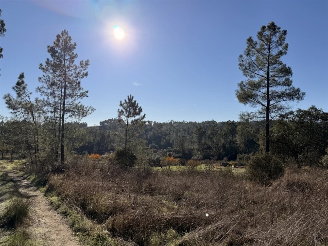 Quinta T0 para Venda em Sarzedas Foto 7