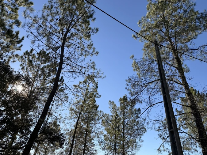 Quinta T0 para Venda em Sarzedas Foto 8