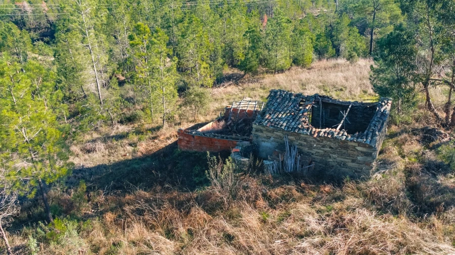 Quinta T0 para Venda em Sarzedas Foto 3