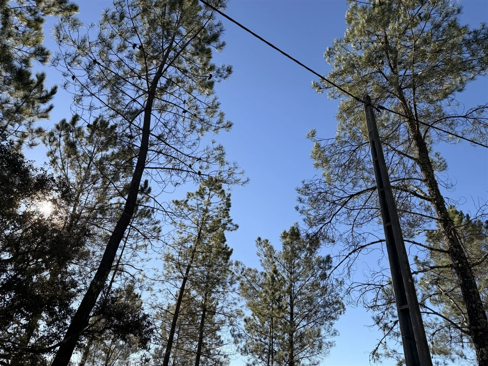 Quinta T0 para Venda em Sarzedas Foto 8