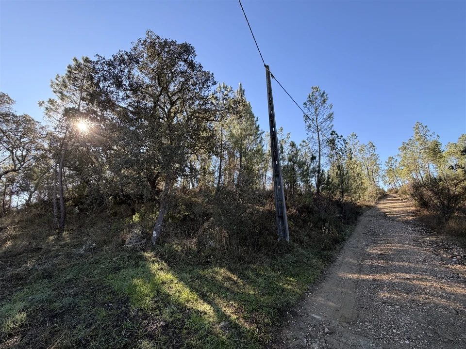 Quinta T0 para Venda em Sarzedas Foto 14