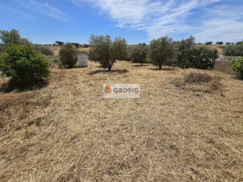 Moradia T0 para Venda em Almodôvar e Graça dos Padrões Foto 13