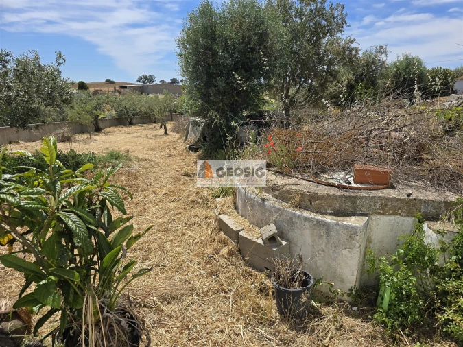 Moradia T3 para Venda em Almodôvar e Graça dos Padrões Foto 29