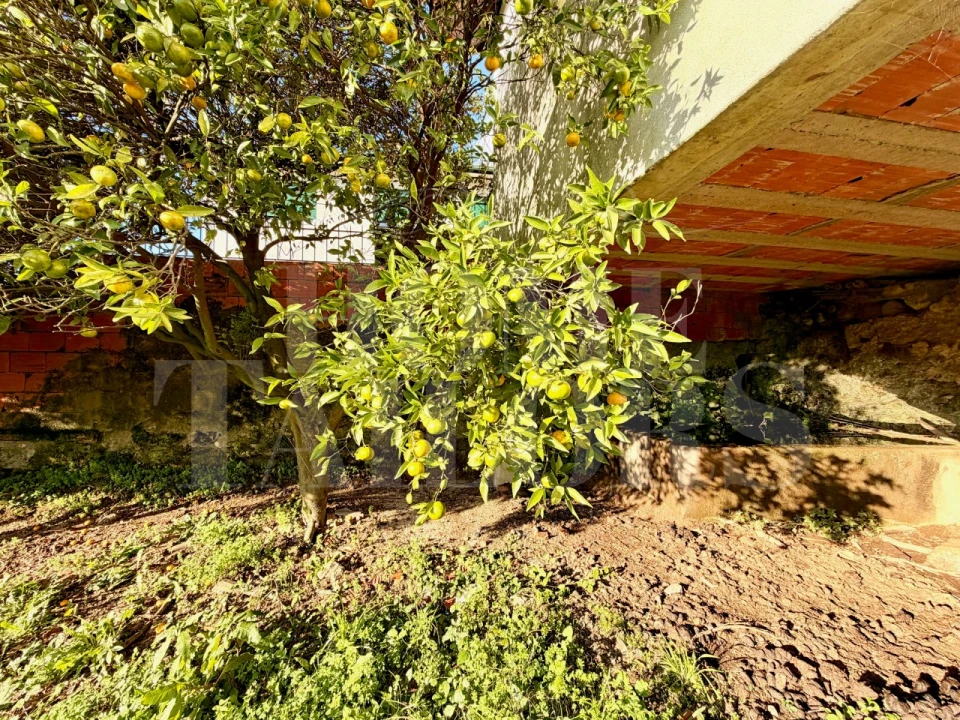 Moradia T5 para Venda em Vila Chã, Codal e Vila Cova de Perrinho Foto 48