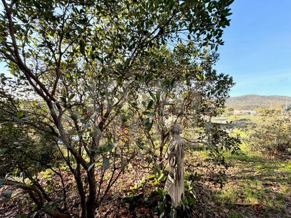 Moradia T5 para Venda em Vila Chã, Codal e Vila Cova de Perrinho Foto 95