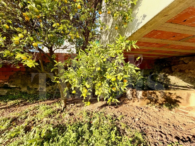 Moradia T5 para Venda em Vila Chã, Codal e Vila Cova de Perrinho Foto 48