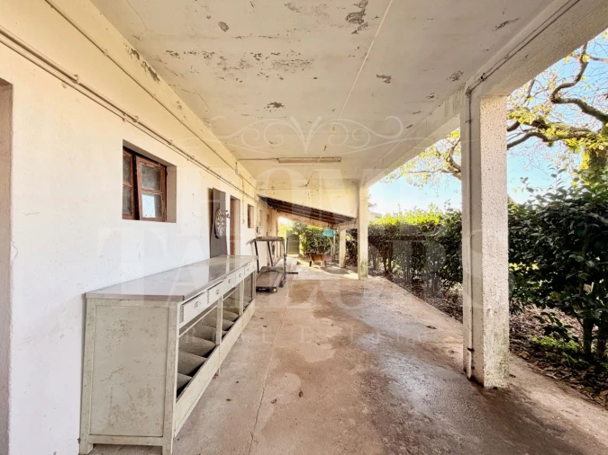 Moradia T5 para Venda em Vila Chã, Codal e Vila Cova de Perrinho Foto 57