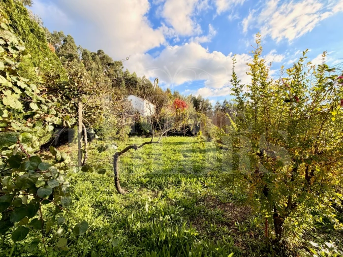 Moradia T5 para Venda em Vila Chã, Codal e Vila Cova de Perrinho Foto 73