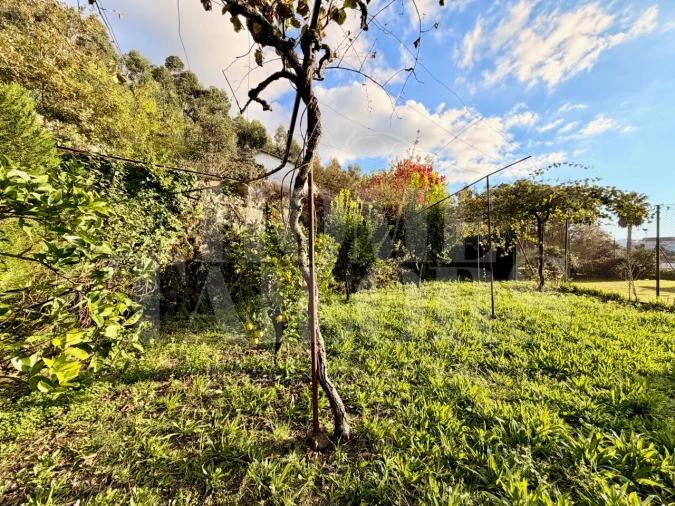 Moradia T5 para Venda em Vila Chã, Codal e Vila Cova de Perrinho Foto 74