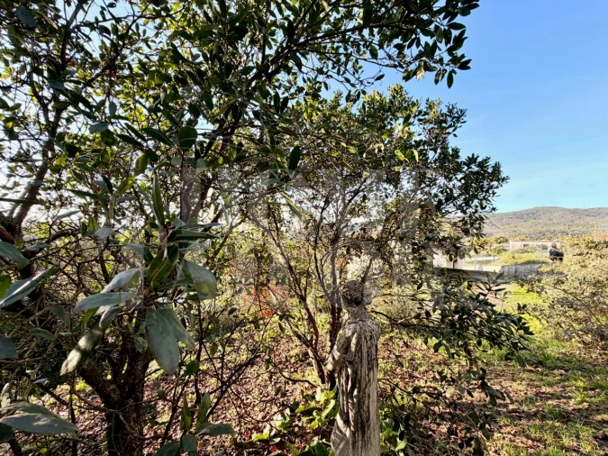 Moradia T5 para Venda em Vila Chã, Codal e Vila Cova de Perrinho Foto 93