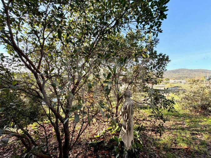 Moradia T5 para Venda em Vila Chã, Codal e Vila Cova de Perrinho Foto 95