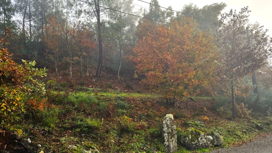 Terreno para Venda em Bodiosa