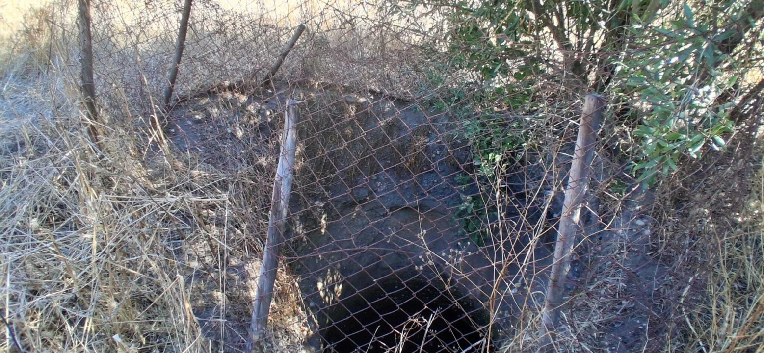 Terreno para Venda em Fazendas de Almeirim Foto 9