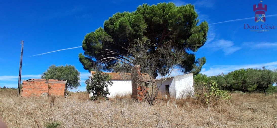 Terreno para Venda em Fazendas de Almeirim Foto 5