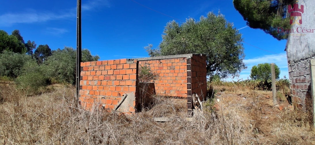 Terreno para Venda em Fazendas de Almeirim Foto 13