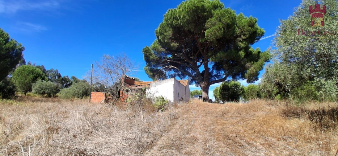 Terreno para Venda em Fazendas de Almeirim Foto 4