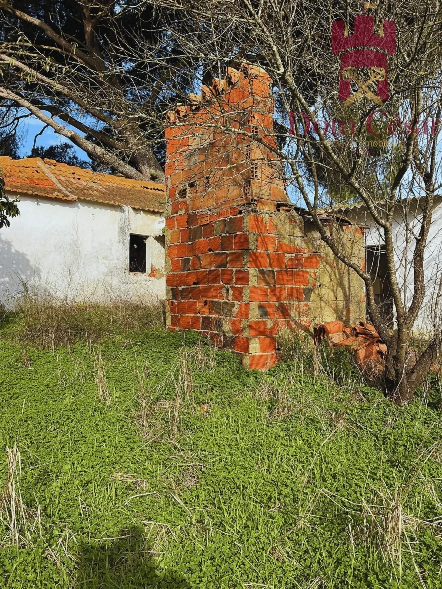 Terreno para Venda em Fazendas de Almeirim Foto 7
