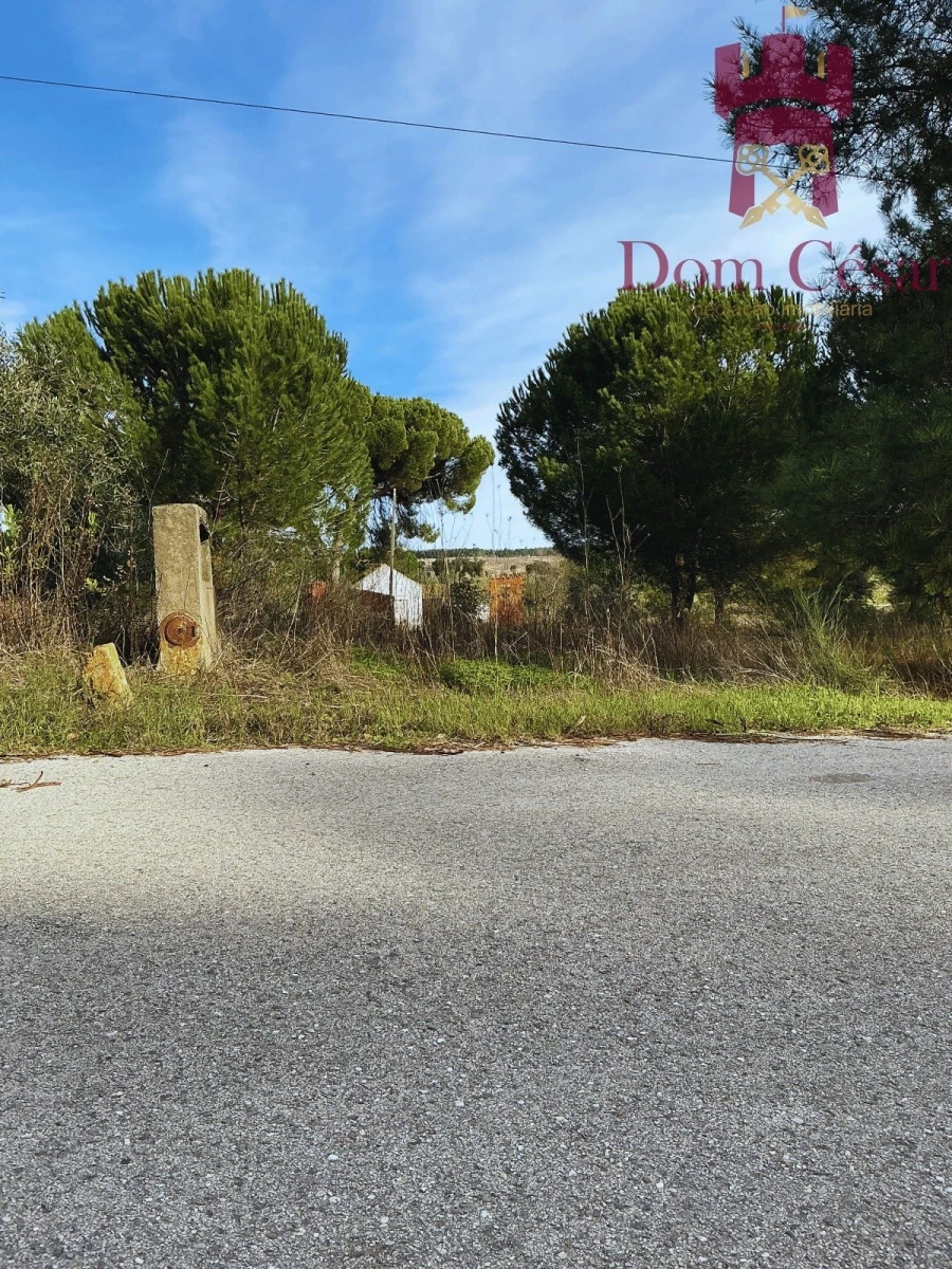 Terreno para Venda em Fazendas de Almeirim Foto 12