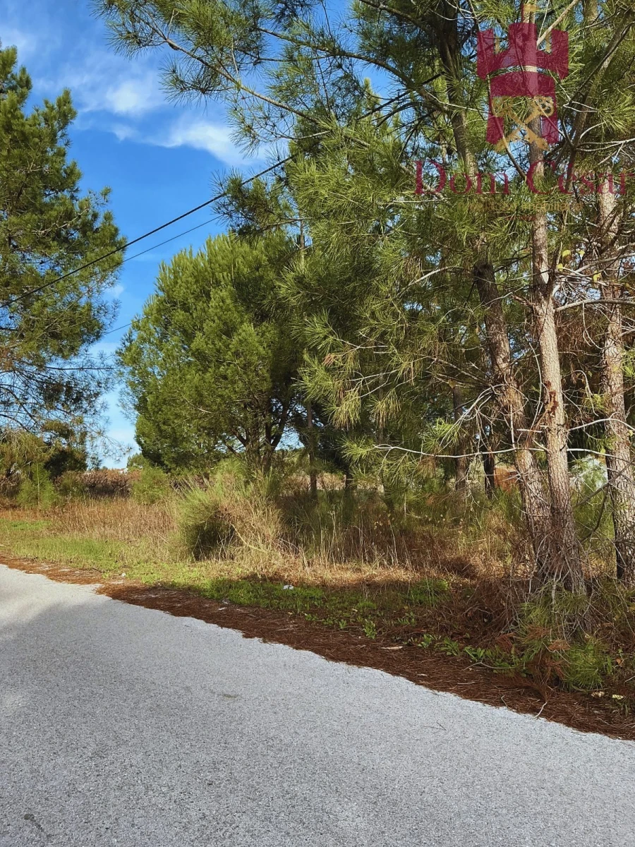 Terreno para Venda em Fazendas de Almeirim Foto 13