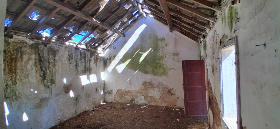 Terreno para Venda em Fazendas de Almeirim Foto 5