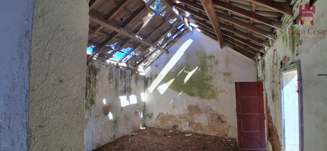 Terreno para Venda em Fazendas de Almeirim Foto 11