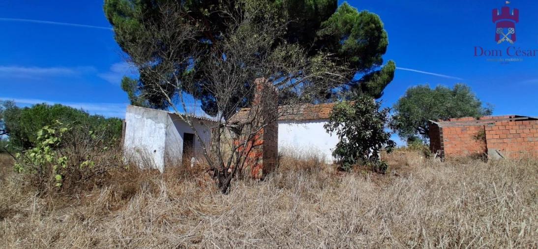 Terreno para Venda em Fazendas de Almeirim Foto 12