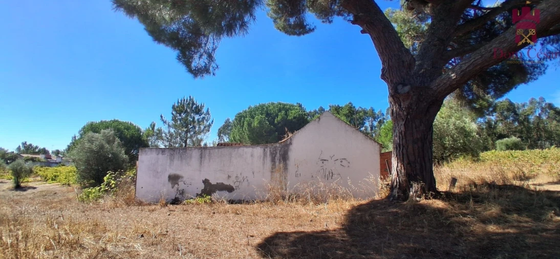 Terreno para Venda em Fazendas de Almeirim