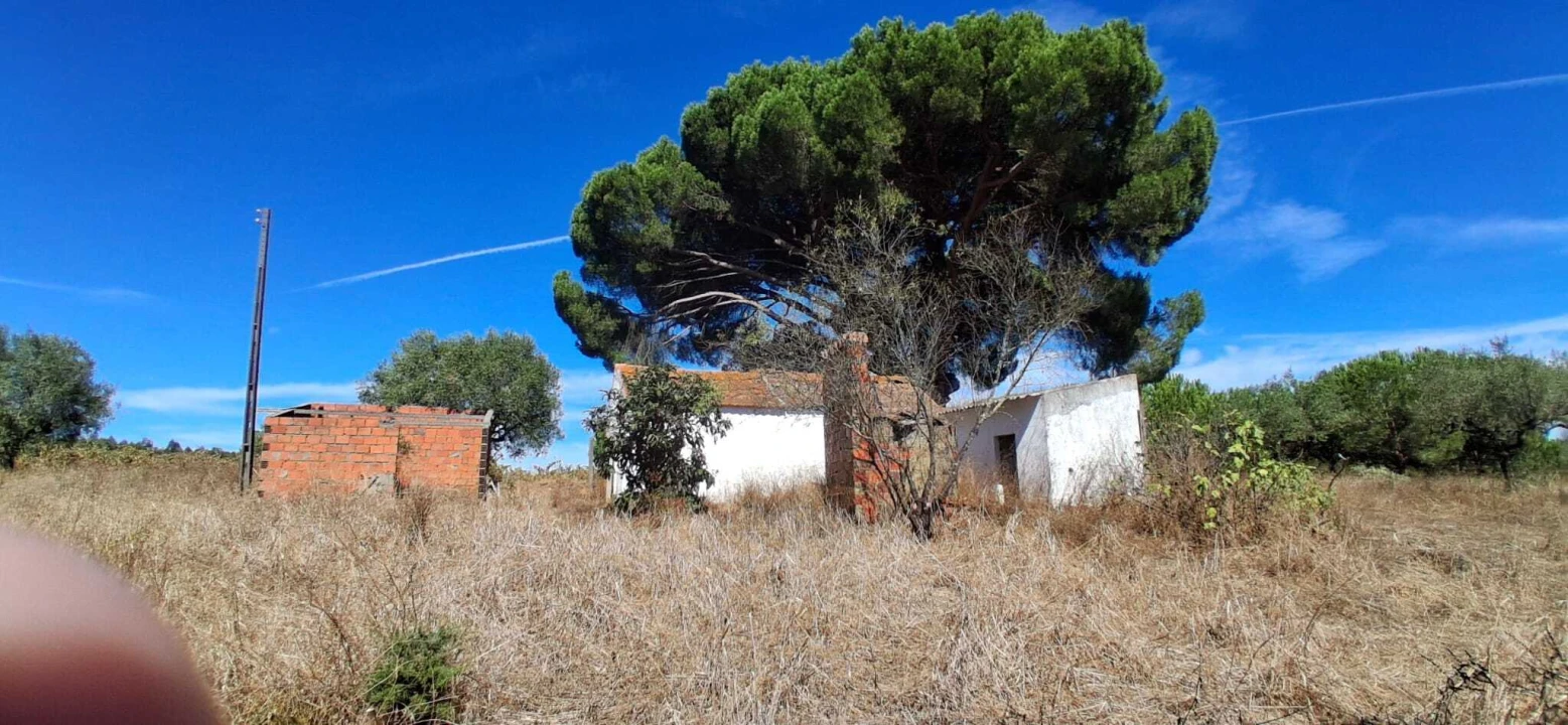 Terreno para Venda em Fazendas de Almeirim Foto 2