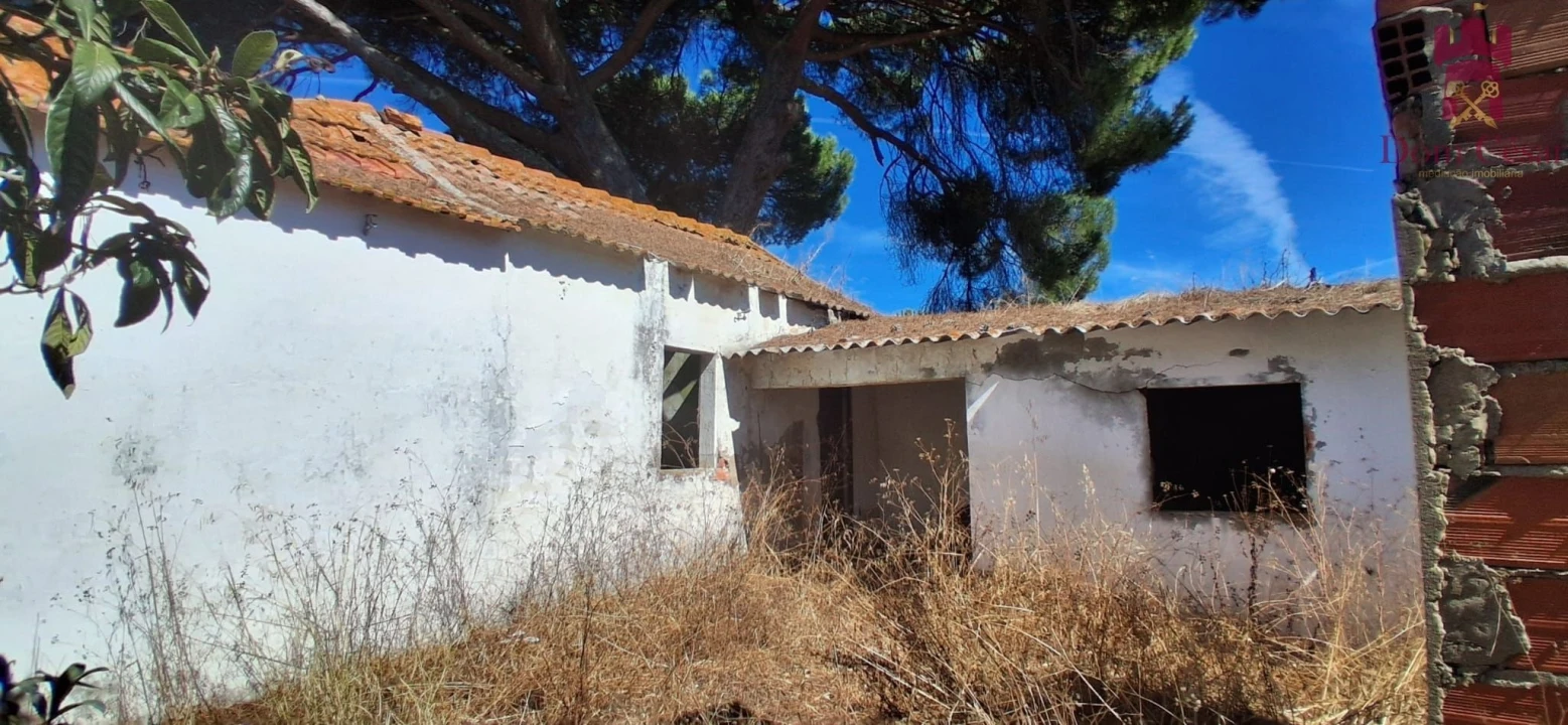 Terreno para Venda em Fazendas de Almeirim Foto 6