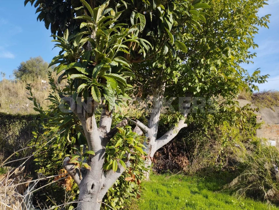 Prédio para Venda em Beato Foto 3