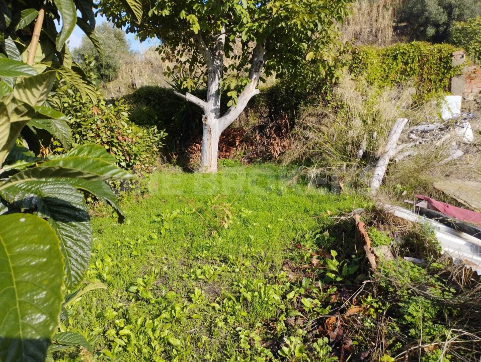 Prédio para Venda em Beato Foto 13