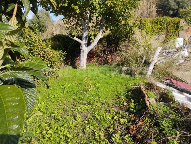 Prédio para Venda em Beato Foto 13