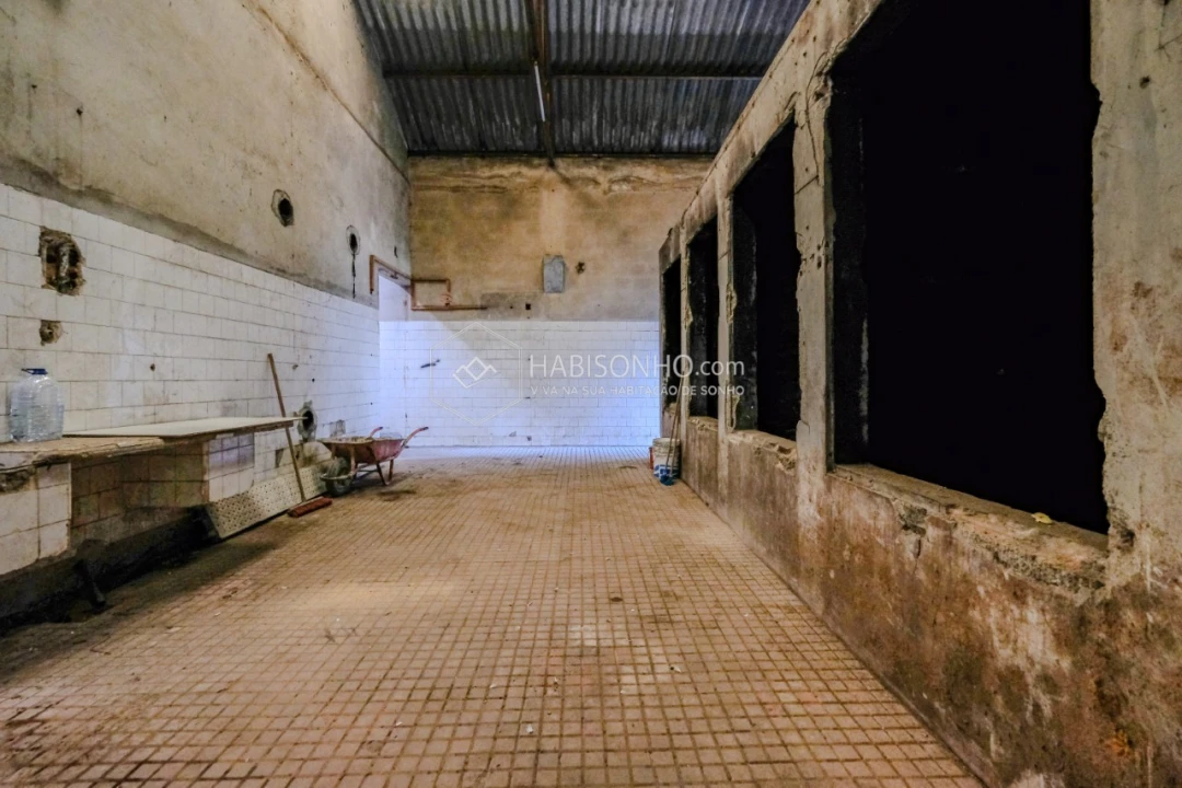 Armazém para Venda em Milheiros Foto 13