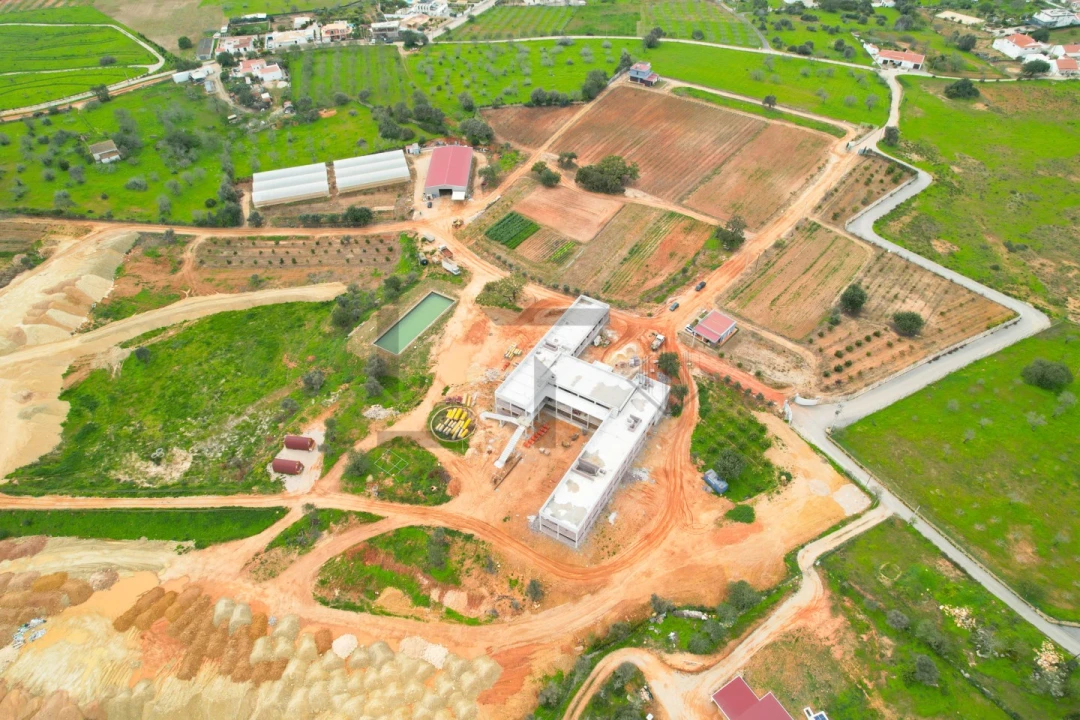 Negócio para Venda em Guia Foto 4