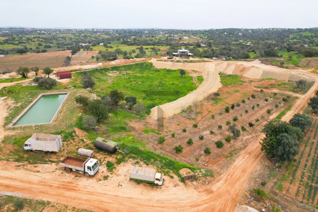 Negócio para Venda em Guia Foto 22